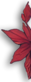 decorative leaves